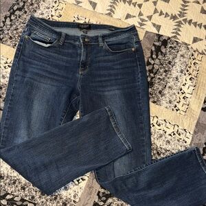 Women's Judy Blue Jeans 13/31